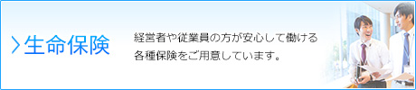 生命保険…経営者や従業員の方が安心して働ける各種保険をご用意しています。